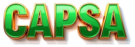 toto capsa